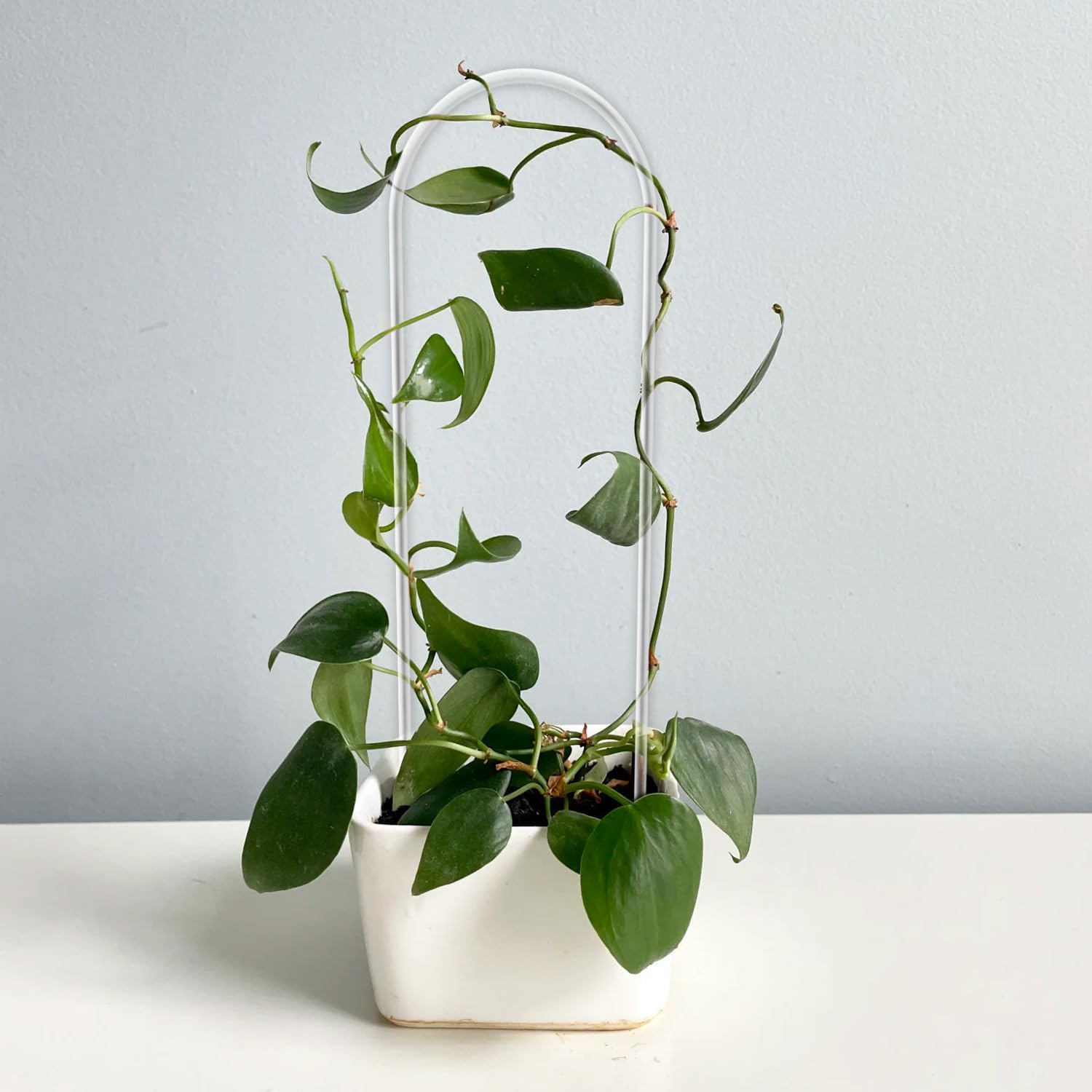 2 Pack U-Shaped Clear Acrylic Trellis for Indoor Plants, Small Plant Support for Potted Climbing Vines, Hoya, Ivy - Indoor Outdoor Use image number 2