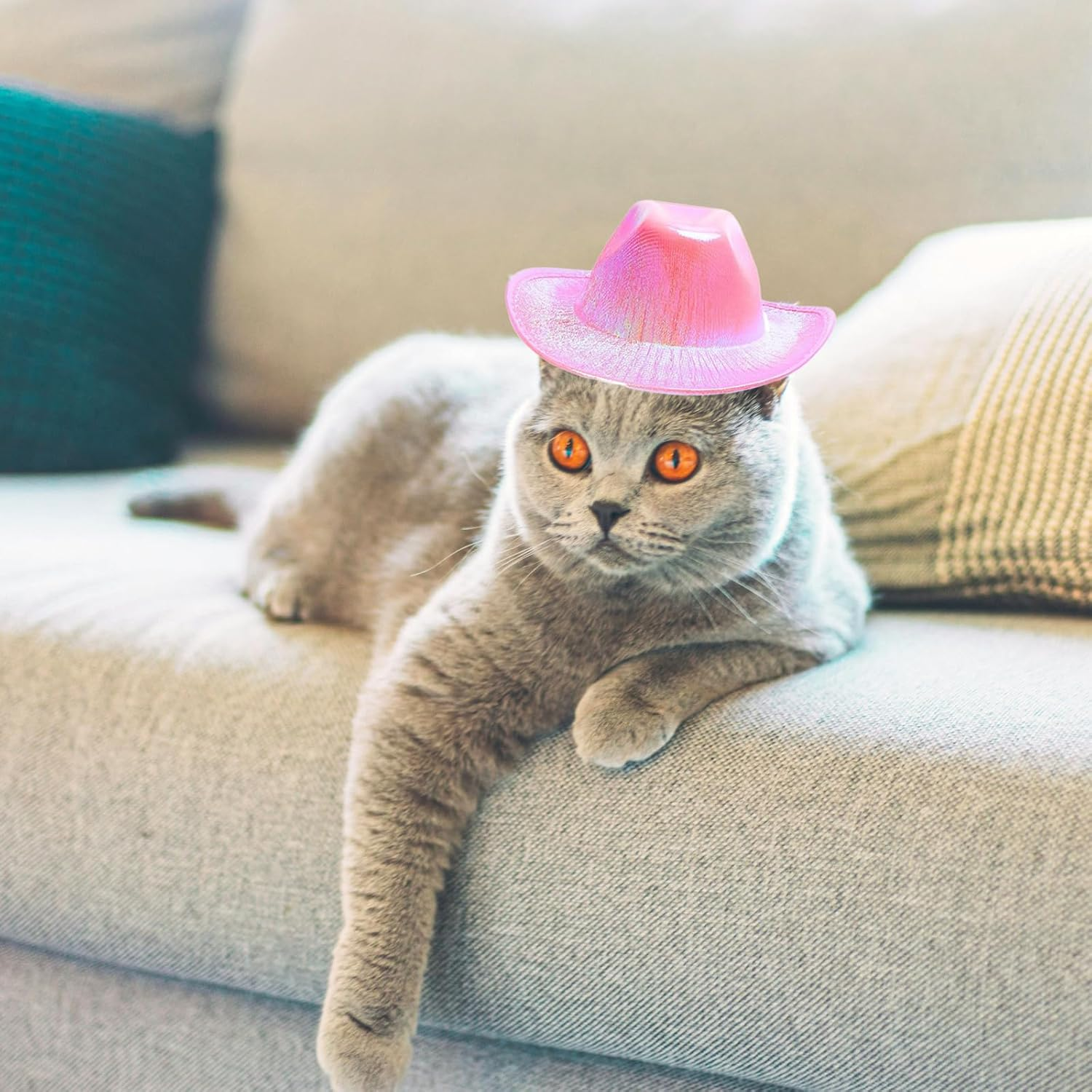 Dog Cowboy Hat Dog Catcostume Bandana West Cowboy Accessories for Pet Metallic Space Shiny Cowboy Hats (Pink) image number 1