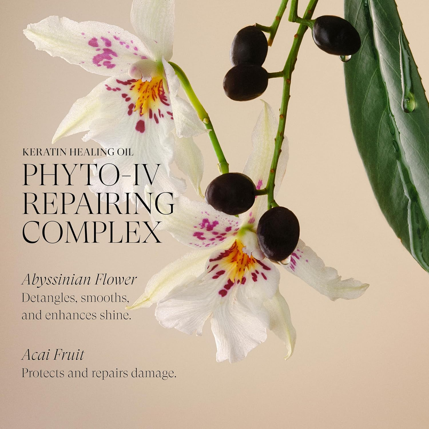 L'ANZA Keratin Healing Oil Shiny Conditioner for Damaged Hair (50 Ml), Nourishes, Repairs, Shine & Strength for a Silky Look, Sulphate Free, Paraben-Free, Gluten Free, Hair Conditioner image number 4