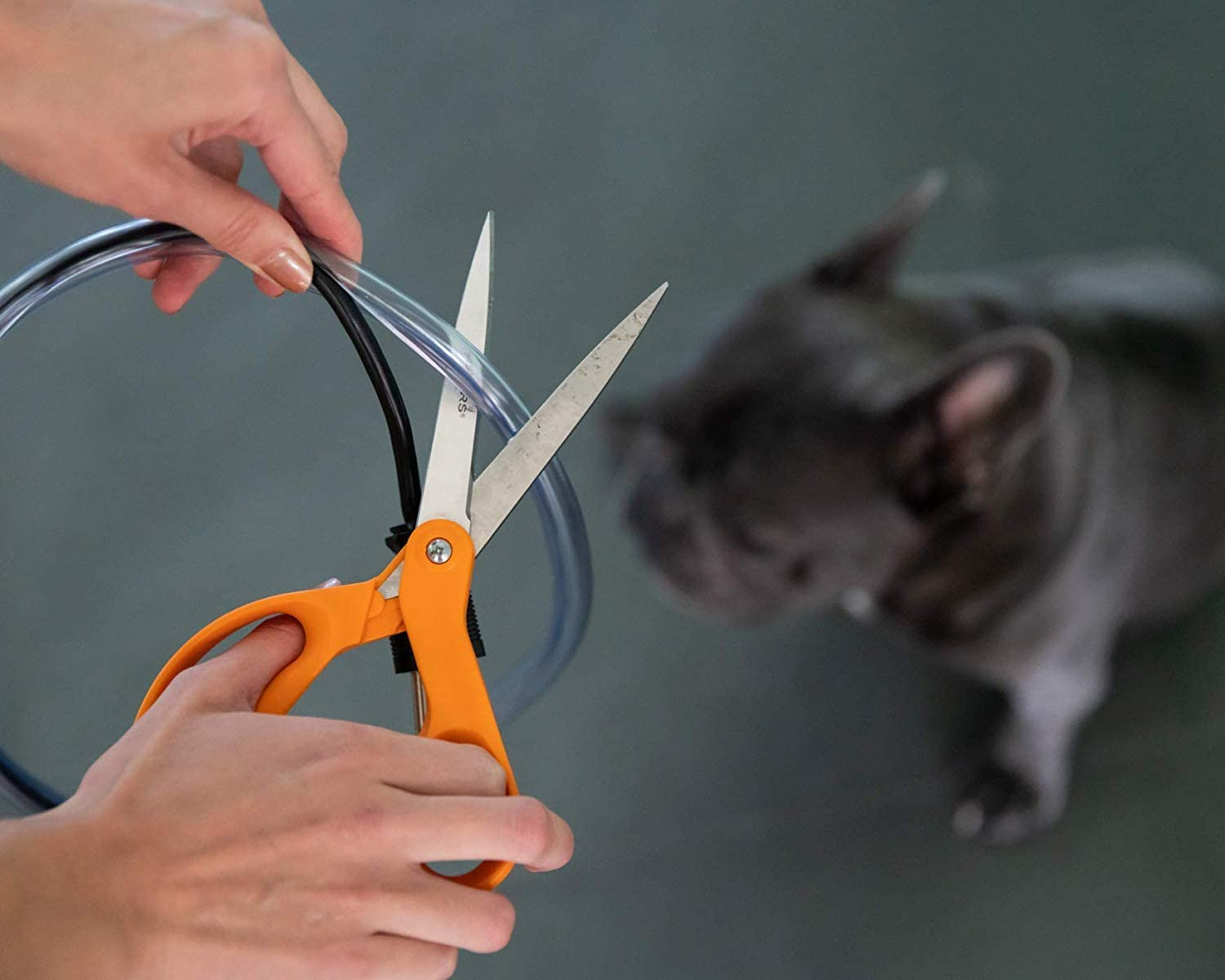 PETCORDS Dog and Cat Cord Protector- Protects Your Pets and Critters from Chewing through Cables up to 20Ft XL- Unscented Odorless