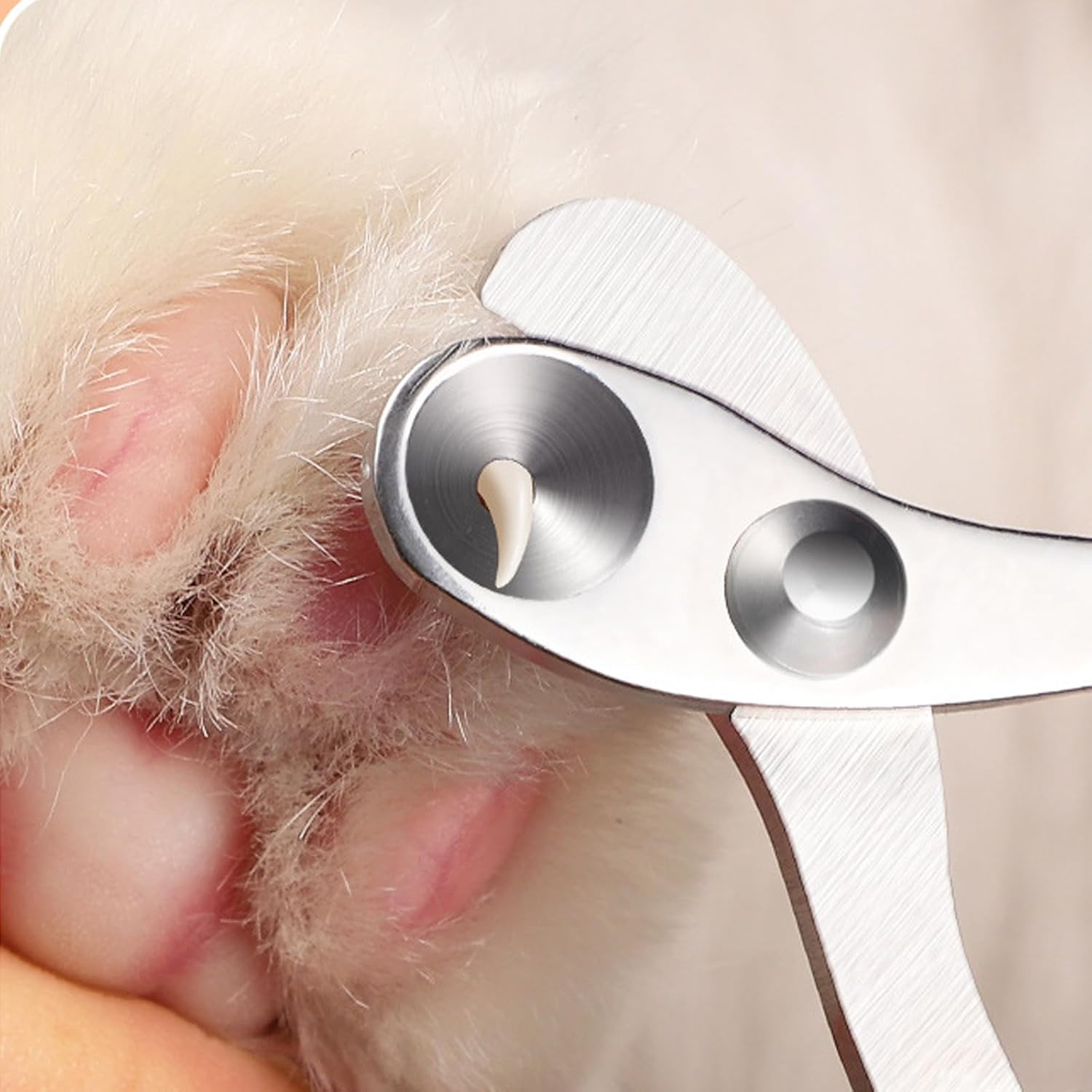 Pet Nail Clippers with 2Mm Circular Cut Hole, Avoid over Cutting Pet Nail Clippers, Cat Grooming and Nail Care Claw Trimmer for Cats,Small Dogs, Birds, Reptiles and Small Animals (Purple) image number 2