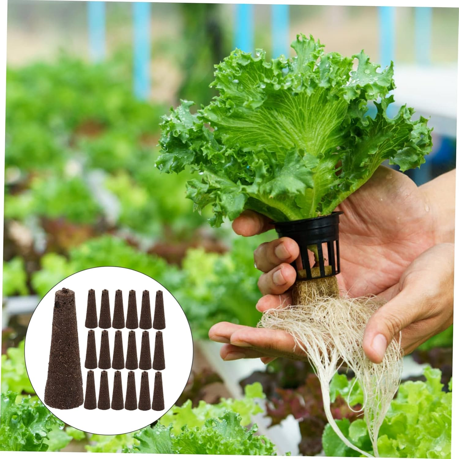 50Pcs Hydroponic Sponges Soilless Cultivation Planting Sponges for Root Growth Compatible with Smart Indoor Growers, Biochar Seed Starter Blocks for Balcony and Indoor Gardening image number 2