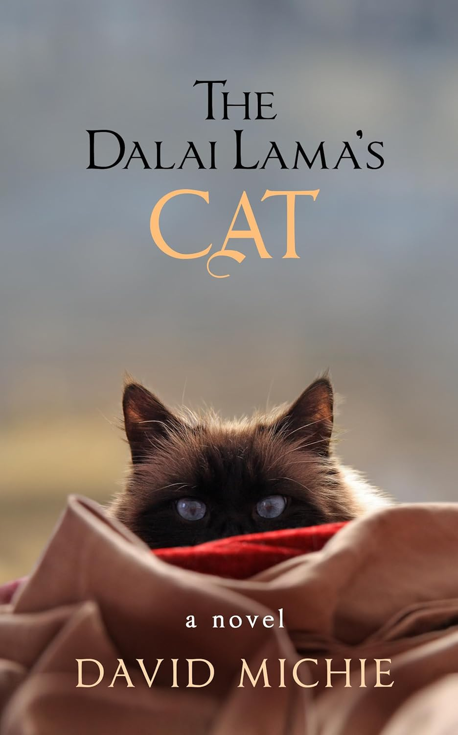 The Dalai Lama'S Cat image number 1