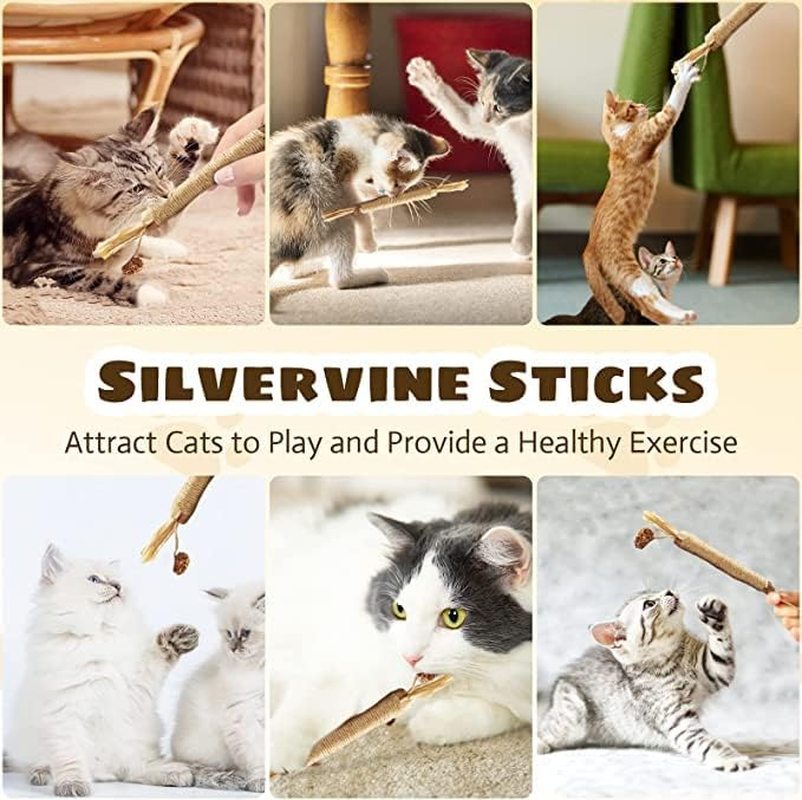 Catnip Toys 6 Pcs Silvervine Chew Stick Natural Silvervine Blend Sticks Cat Nips Interactive Kitten Dental Toy for Kittens Teeth Cleaning Indoor Cats image number 4