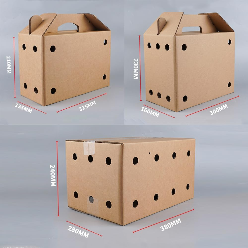 AIMALL 10PCS Cardboard Pet Carriers in 3 Sizes: Sturdy, Safe Disposable Travel Boxes for Small Animals with Ventilation, Easy Assembly, & Built-In Handles image number 2