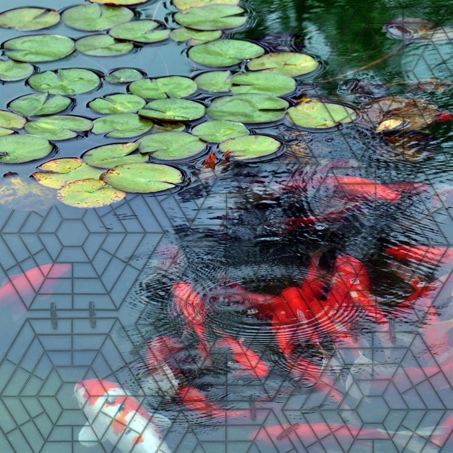 Pond Netting Floating Guard, Fish Protector, Floating Net for Pond, 20 Nets with 60 Connectors & 80 Zip Ties image number 4