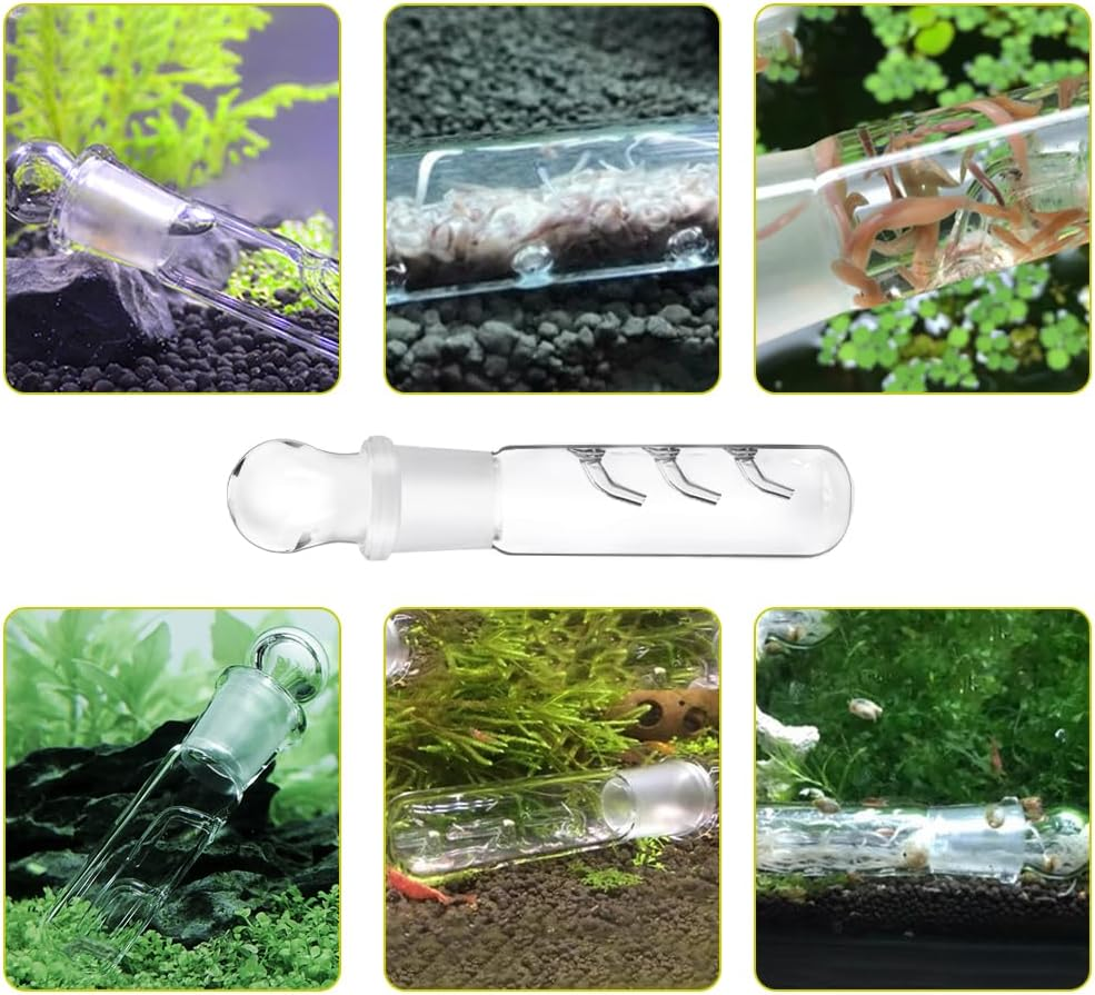 Pack of 2 Efficient Planarium Traps, 3 Hole Clear Glass Planaria Trap for Fish Tank Aquarium, Clear Glass Catcher Trap (Reusable) image number 5