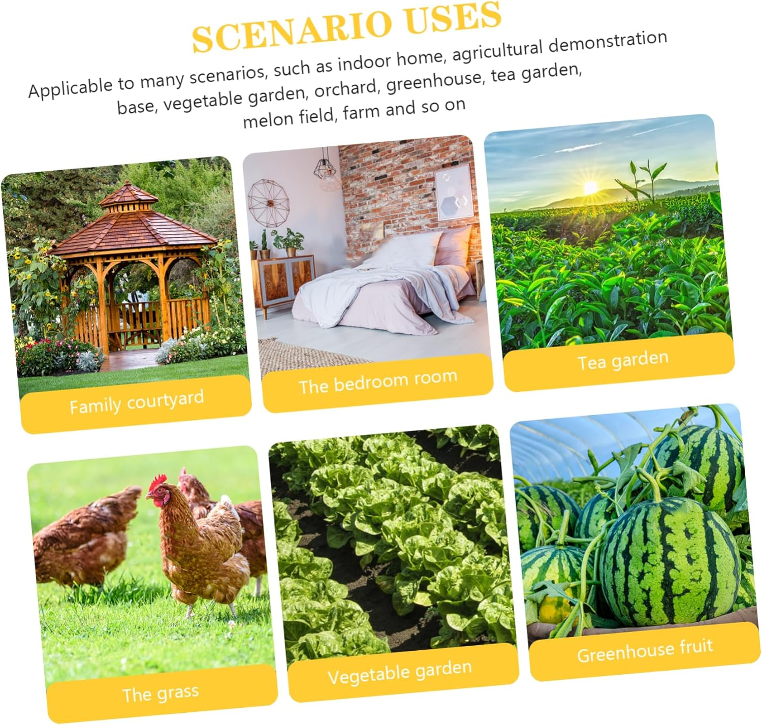 30Pcs Garden Board Orchard Dual-Sided Trap Boards for Indoor and Bugs Catching Tools image number 3