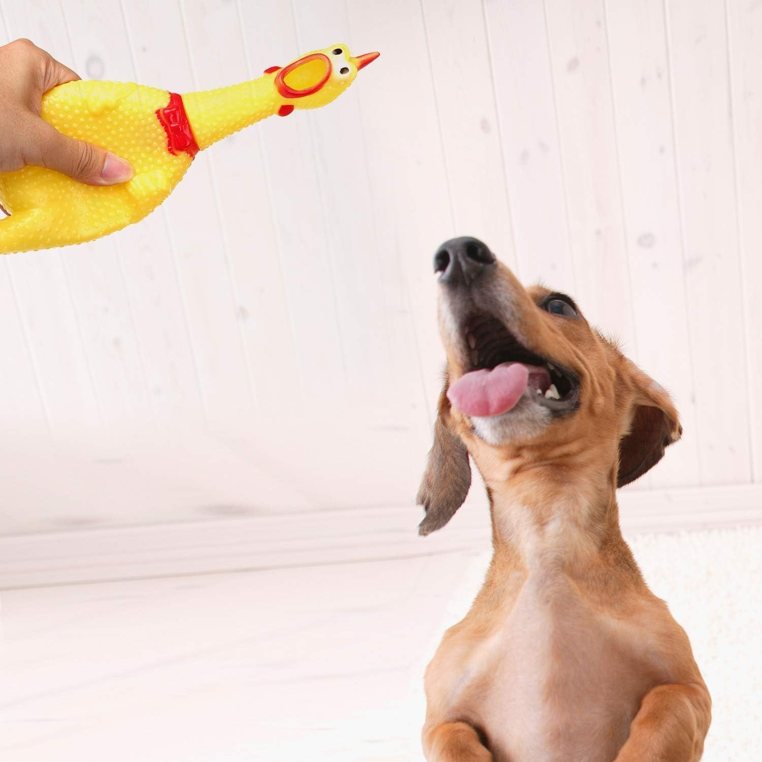 Screaming Chicken Dog Toys,Yellow Squaking Chicken Toy Durable for Dogs,Rubber Chickens 3 Pack (Yellow, 31CM) image number 1