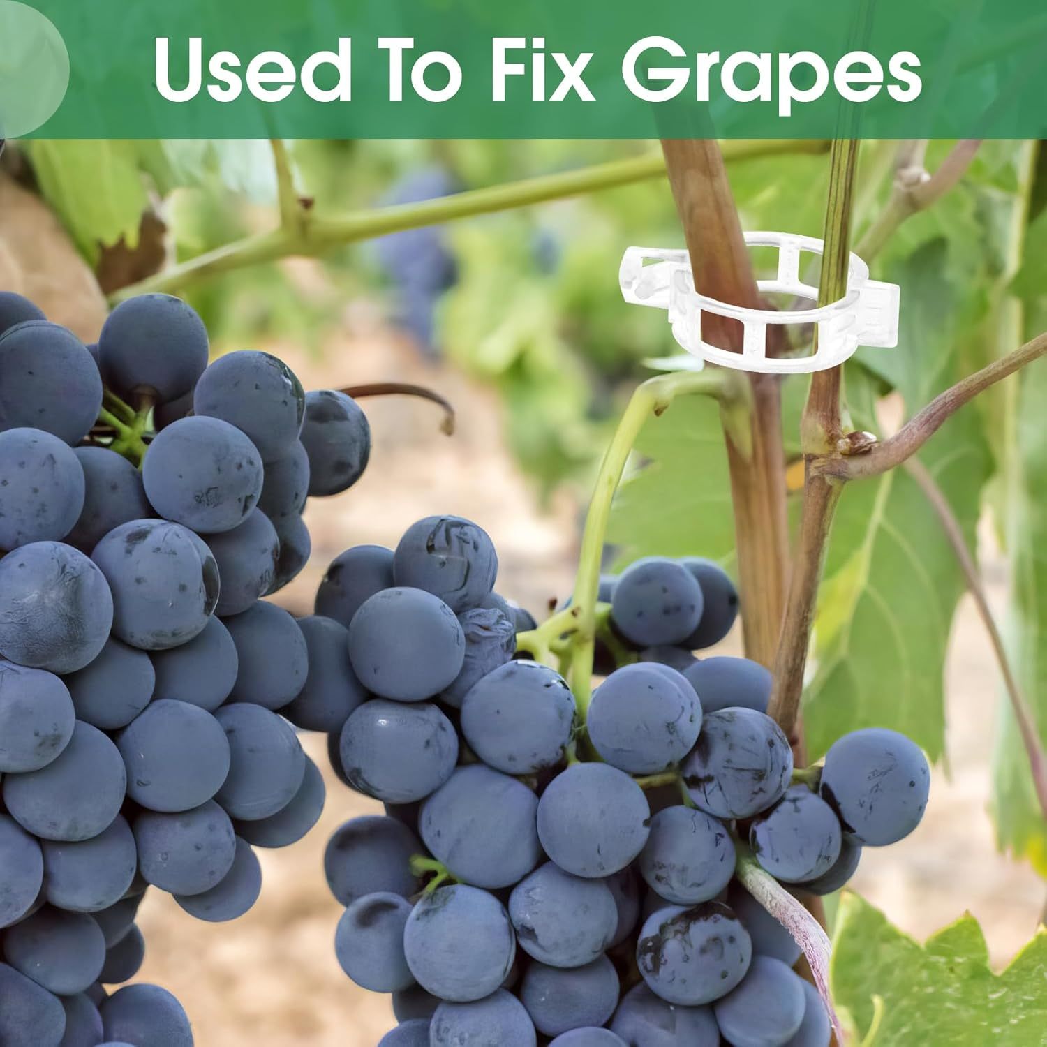 150 Pcs Plastic Trellis Plant Support Clips Plant Fixing Clips for Climbing Plants, Garden Clips for Support, Grape and Tomato Vine, Vegetables Plants(White) image number 2