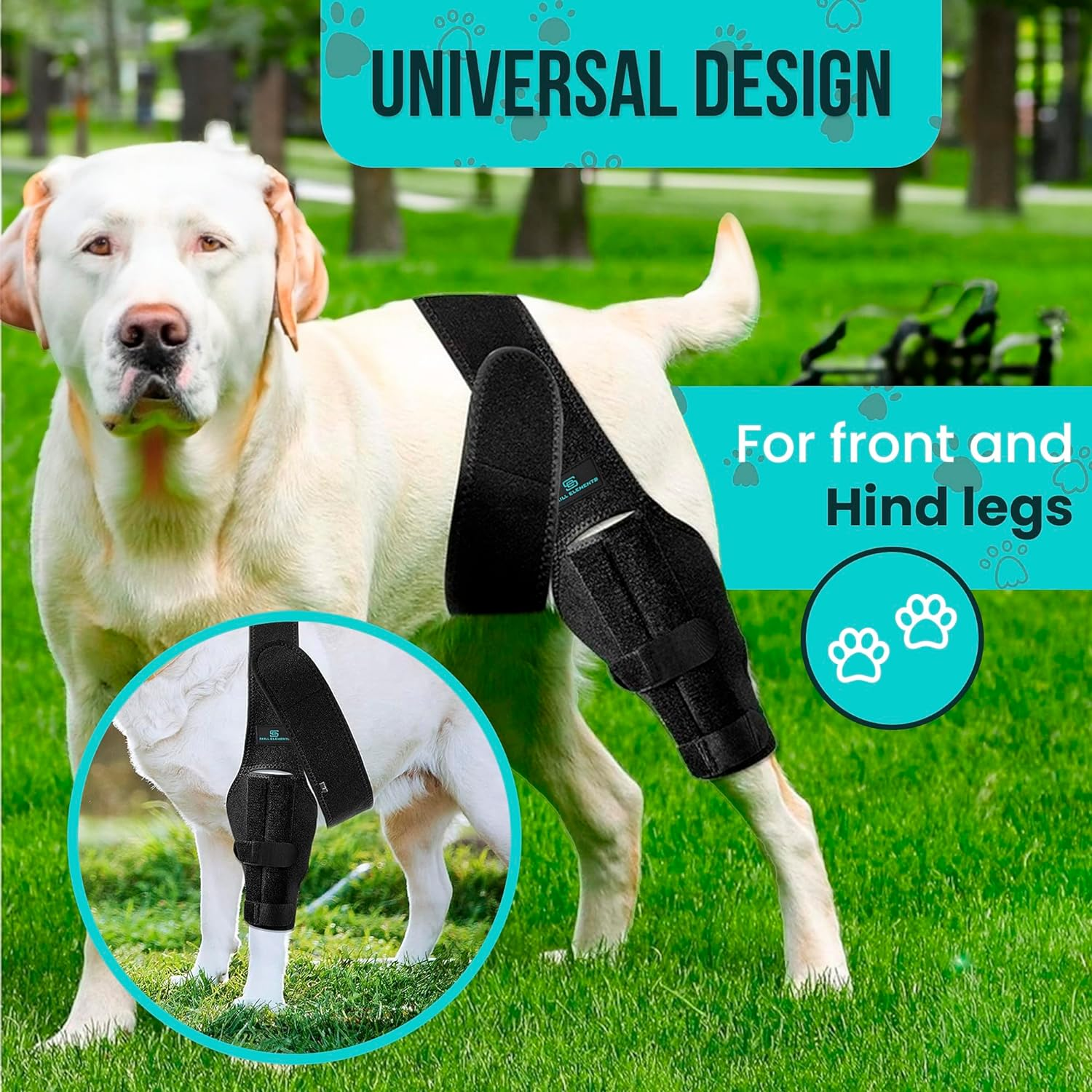 Dog Leg Braces for Back Leg - Dog Knee Brace for Support with Cruciate Ligament Injury, Joint Pain and Muscle Sore,- Dog Knee Brace for Torn ACL Hind Leg Adjustable Rear Leg Braces (Medium) image number 5