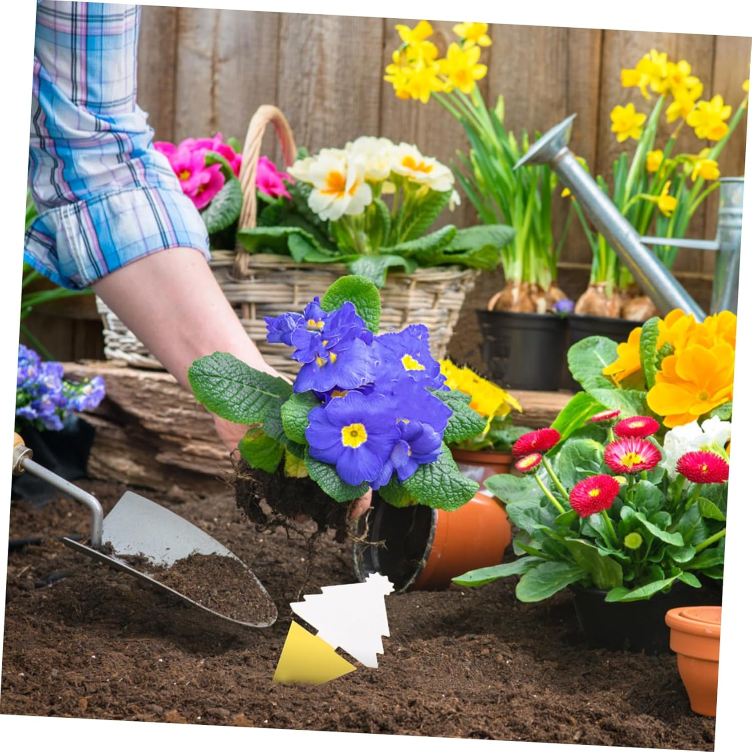 30Pcs Garden Board Orchard Dual-Sided Trap Boards for Indoor and Bugs Catching Tools image number 4