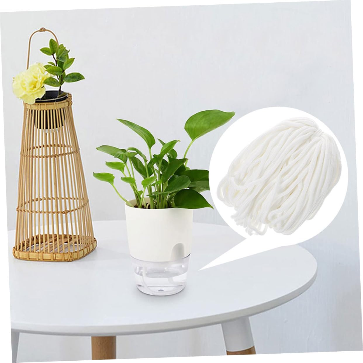 Yardenfun Gardening Cotton Rope Accessories Absorbent Rope for Potted Plants Self Watering Pot Cord Cotton Hydroponic for Indoor Plant Hydroponics Supplies image number 6