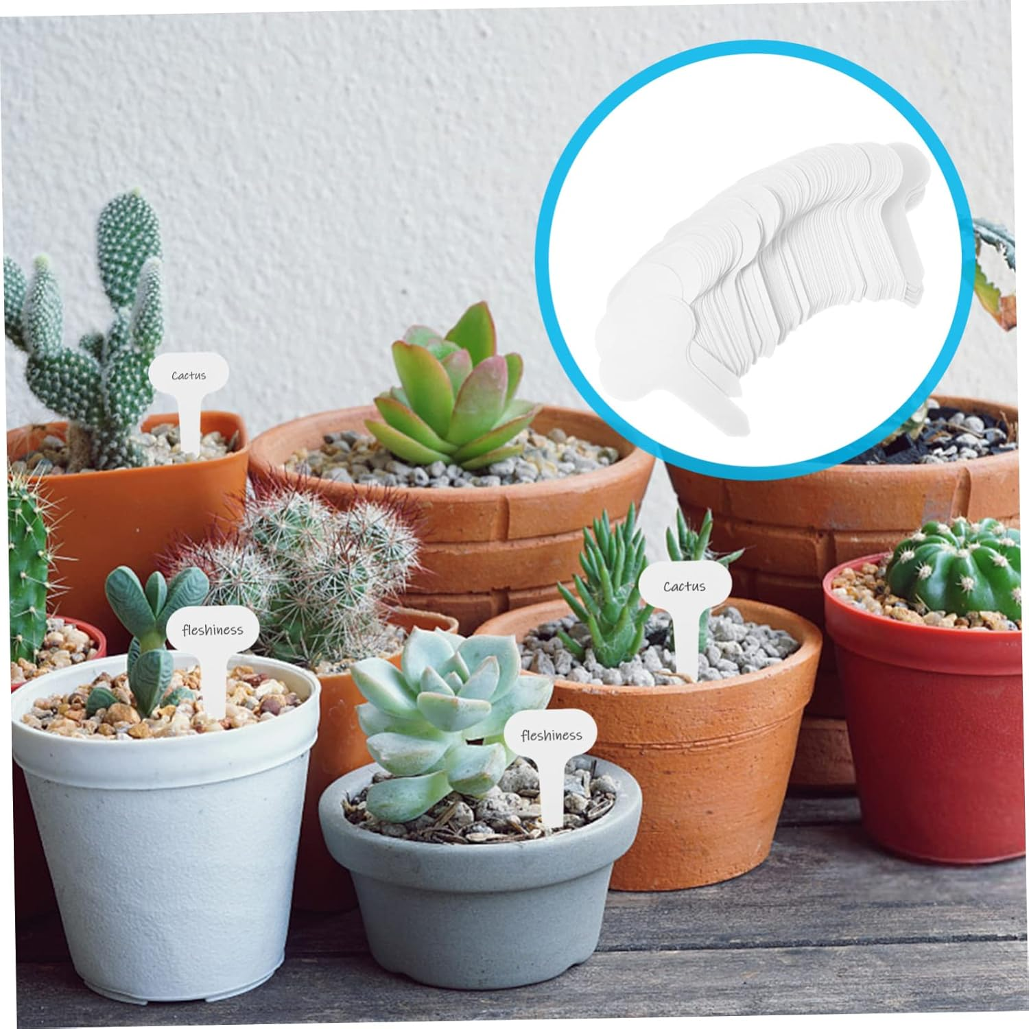 MERRYHAPY 100Pcs Garden Plant Tags Sturdy Plant Markers for Seedlings Easy Identification Smooth for Gardening Park and Decor image number 2