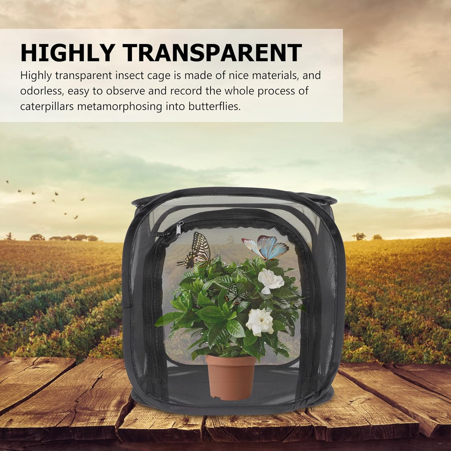 Vaguelly Foldable Breathable Insect Breeding Cage for Butterflies, 30X30X30Cm Foldable Observation Mesh Box, Portable Insect Rearing Enclosure for Indoor and Outdoor Use image number 2