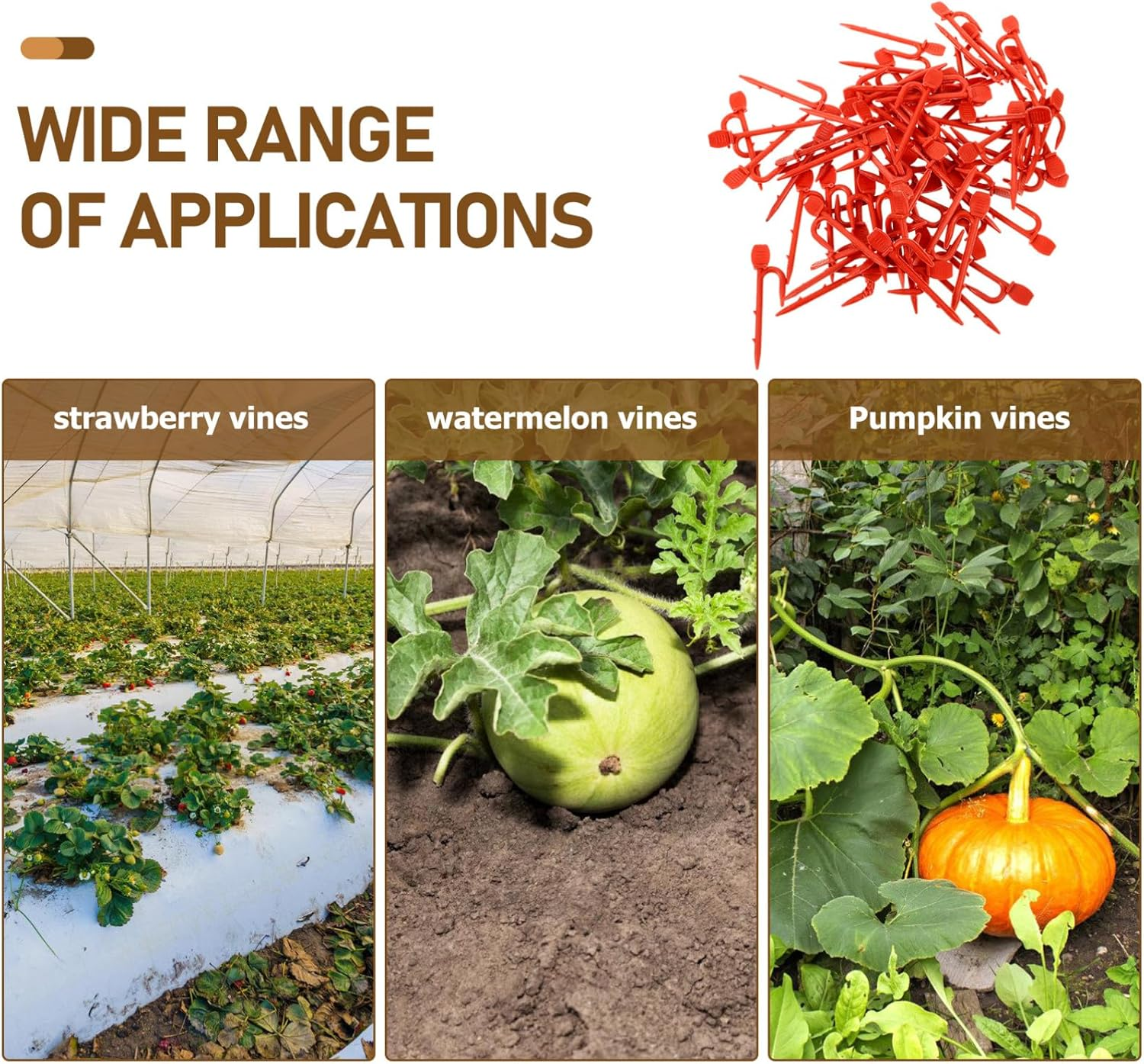 1Bag Strawberry Seedling Fork Gardening Plant Fixing Clips Reusable Vine Fixing Clip Fastening Vines Clamp Stolon Fastening Hook Bed Rails image number 6