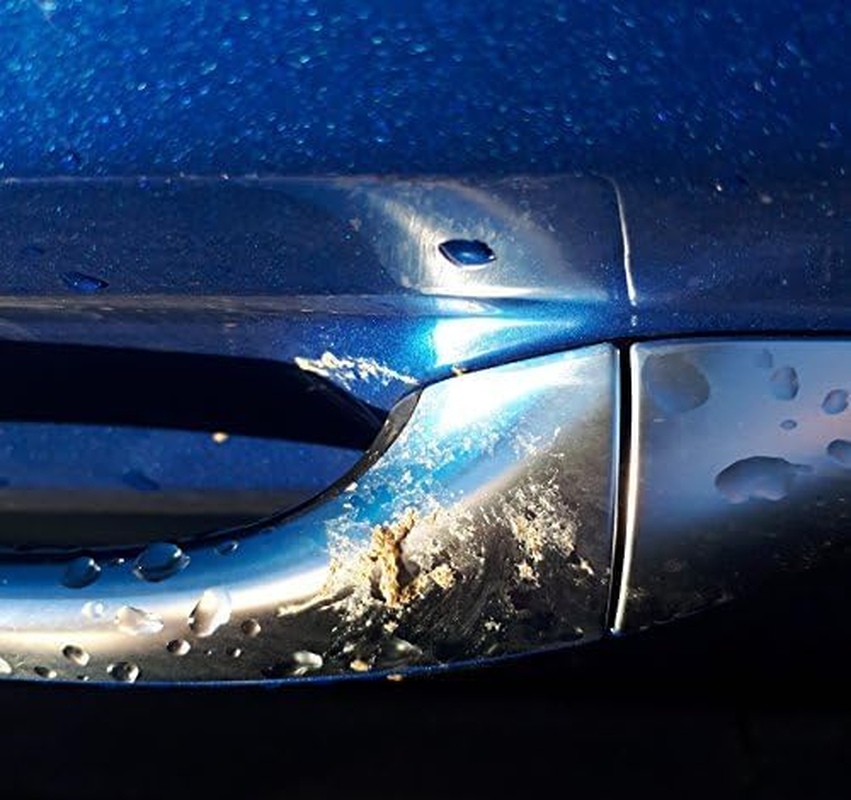 Nushine Bird Dropping and Insect Strike Remover Spray 250Ml (Ecofriendly Formula) image number 6