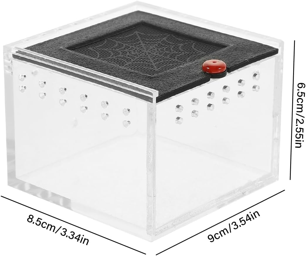 AIMALL Acrylic Reptile Climbing Pet Enclosure, Transparent Spider and Lizard Breeding Terrarium, Lightweight and Durable Design - Black image number 2