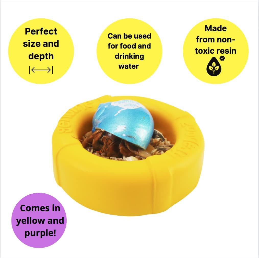 Cha Cha Food & Water Bowl image number 3