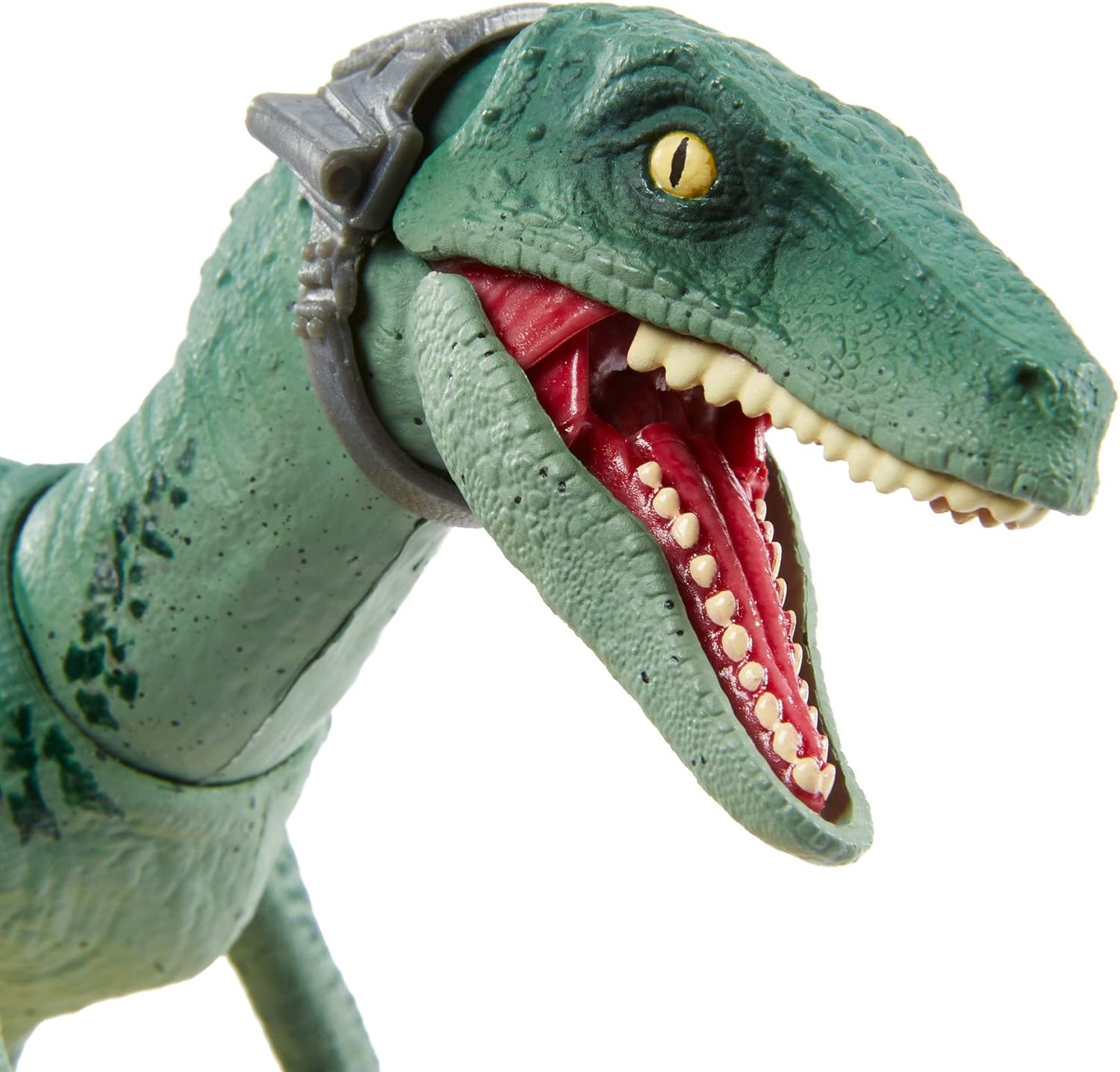 Jurassic World Amber Collection Velociraptor Delta 6-In Collectible Dinosaur Action Figure with Movie-Authentic Detail, Movable Joints & Figure Display Stand; for Ages 8 Years & Up image number 2