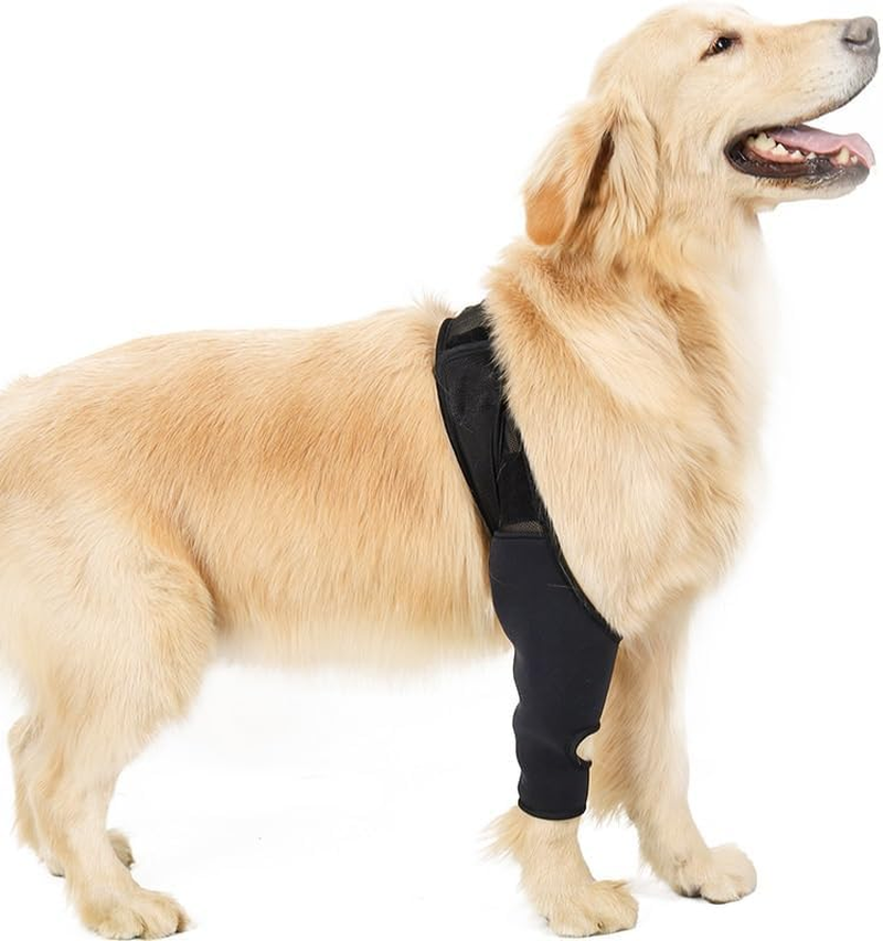 Pet Dog Knee Brace Adjustable Multifunctional Protective Gear with Magic Stickers for Wounds Heals Black M (XL, Black) image number 1