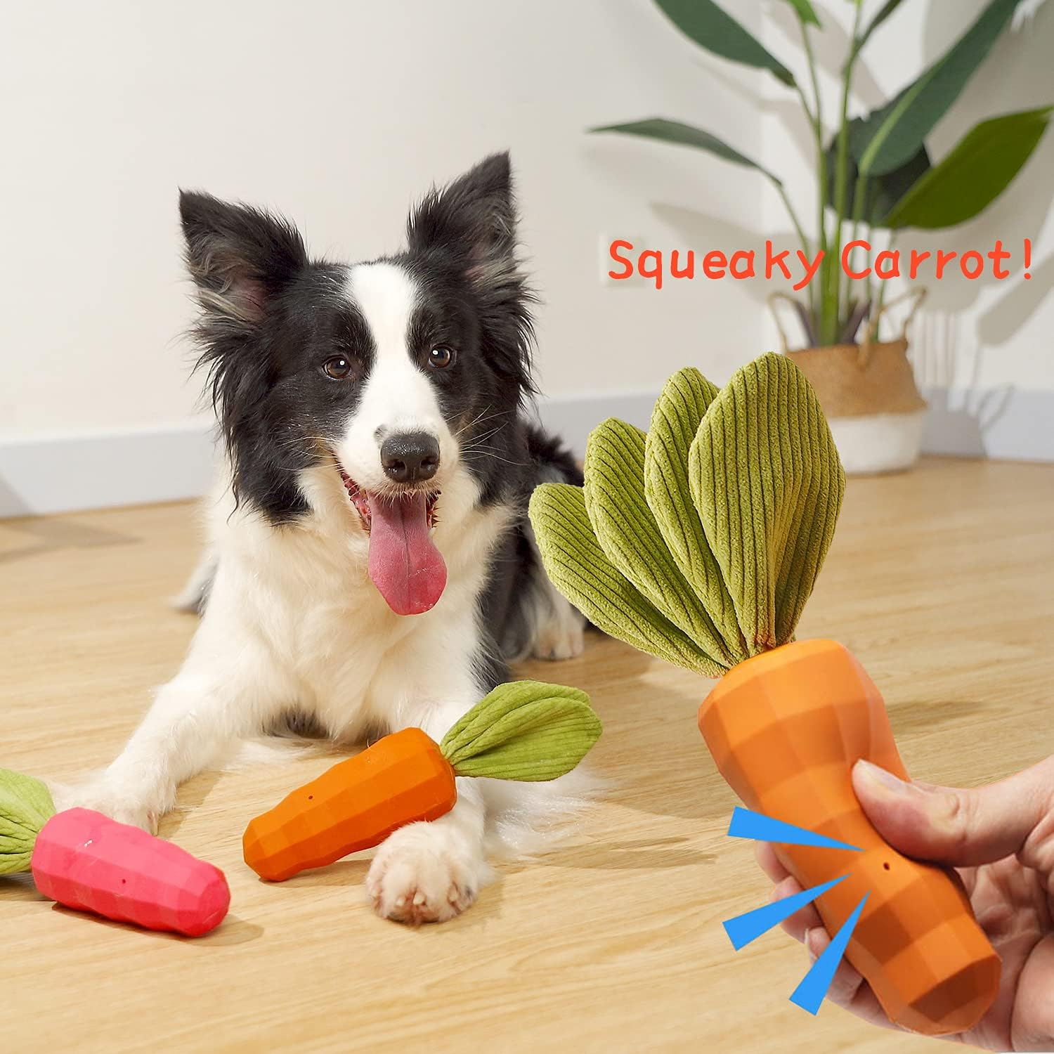 Squeaky Dog Toys Medium Small Breed Puppy - Lifetime Replacement - Fun to Chew, Chase and Fetch (Carrot) image number 4
