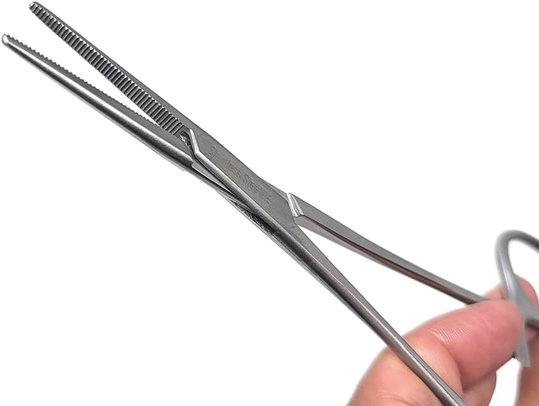 Hemostat Forceps, Curved Tip Cleaning Clamp Ear Hair Tweezers Pet Grooming Scissors Professional Stainless Steel Dog Trimmer Dogs Ears Puller Accessories Silver for Cats Nose Ear Hair(Large) image number 2