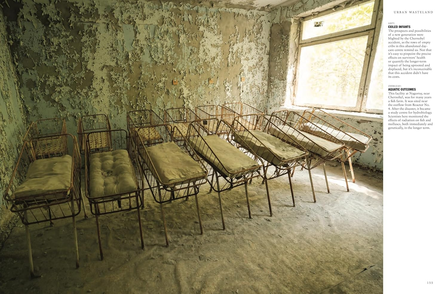 Chernobyl Chernobyl image number 2