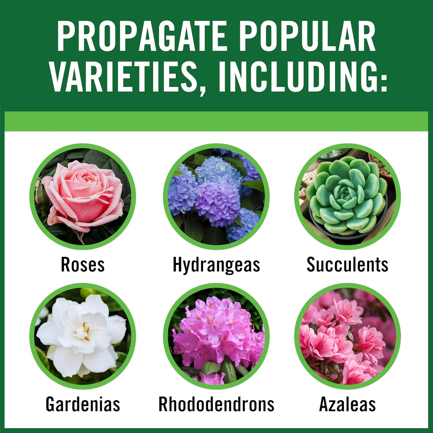Rootboost Rooting Hormone 2 Ounces image number 5