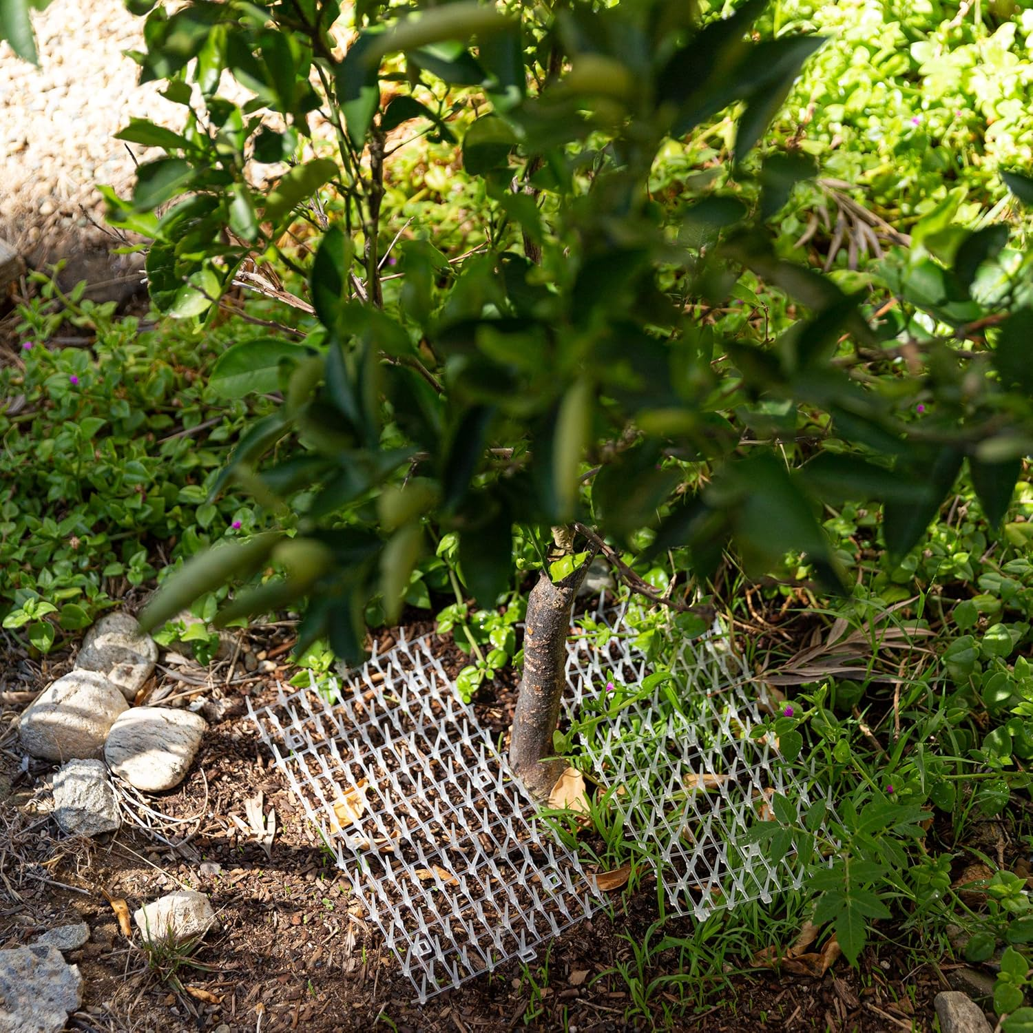 Extra Wide Dog Scat Roll - Plastic Pet Training Mat - 6.5 Ft, 17.5 in - Keep Dogs off Couch - Cat Spike Mat - Cat Deterrent