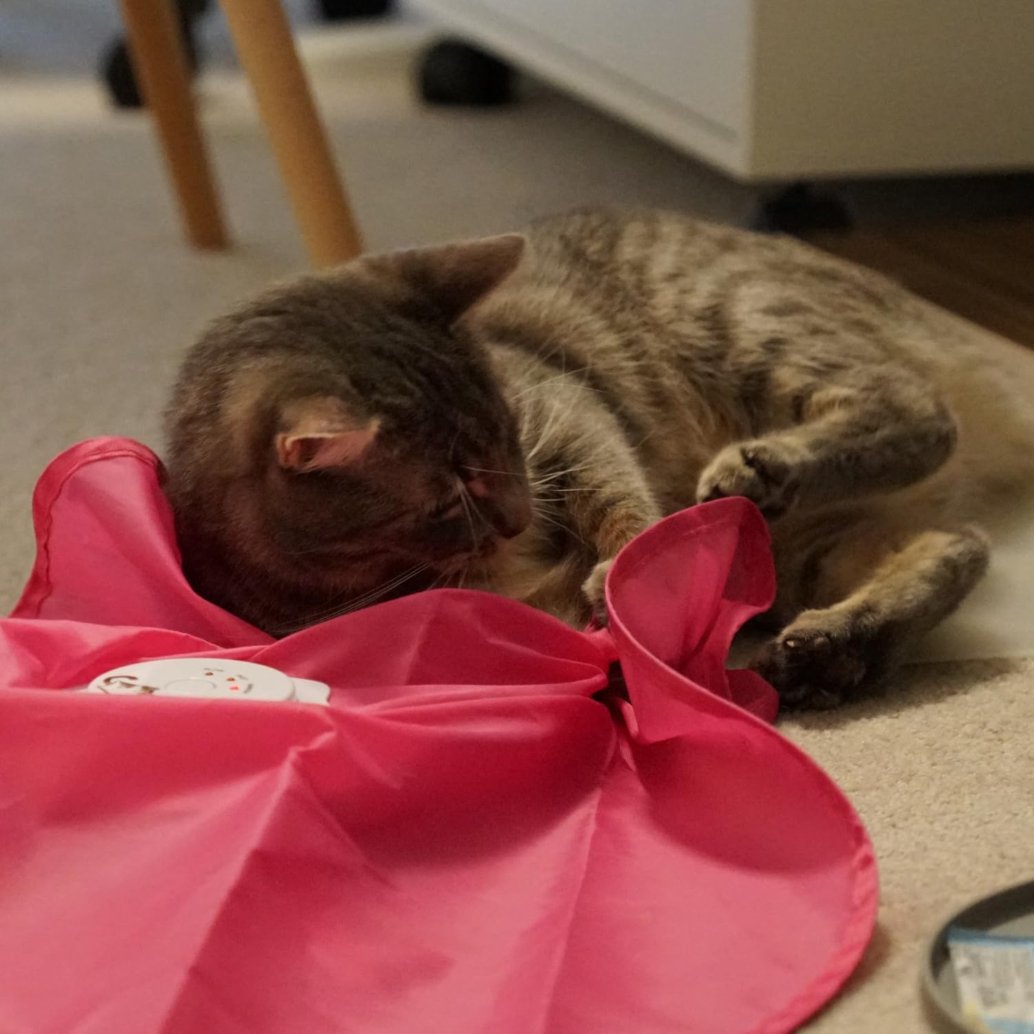 Interactive Cat Play-Catch the Tail-Electric, Rotating Feather , Motion, Automatic, Best Undercover Mouse under Blanket Cat Toy image number 4