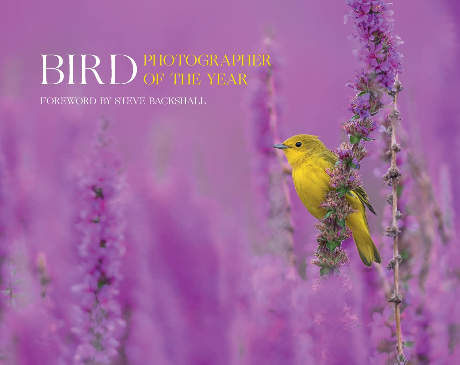 Bird Photographer of the Year: Volume 7 image number 3