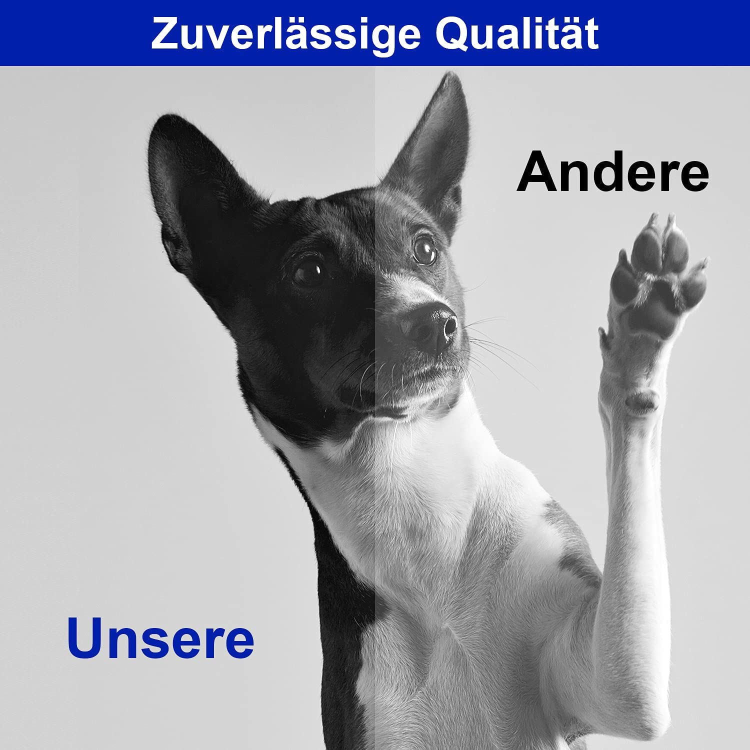 Koala Compatible Toner Cartridge Replacement for HP 106A W1106A Toner for Laser MFP 135Wg 137Fwg 137Fnw, Laser 135A 135R 135W 107W 107A 107R Printer (Black, 2-Pack) image number 4