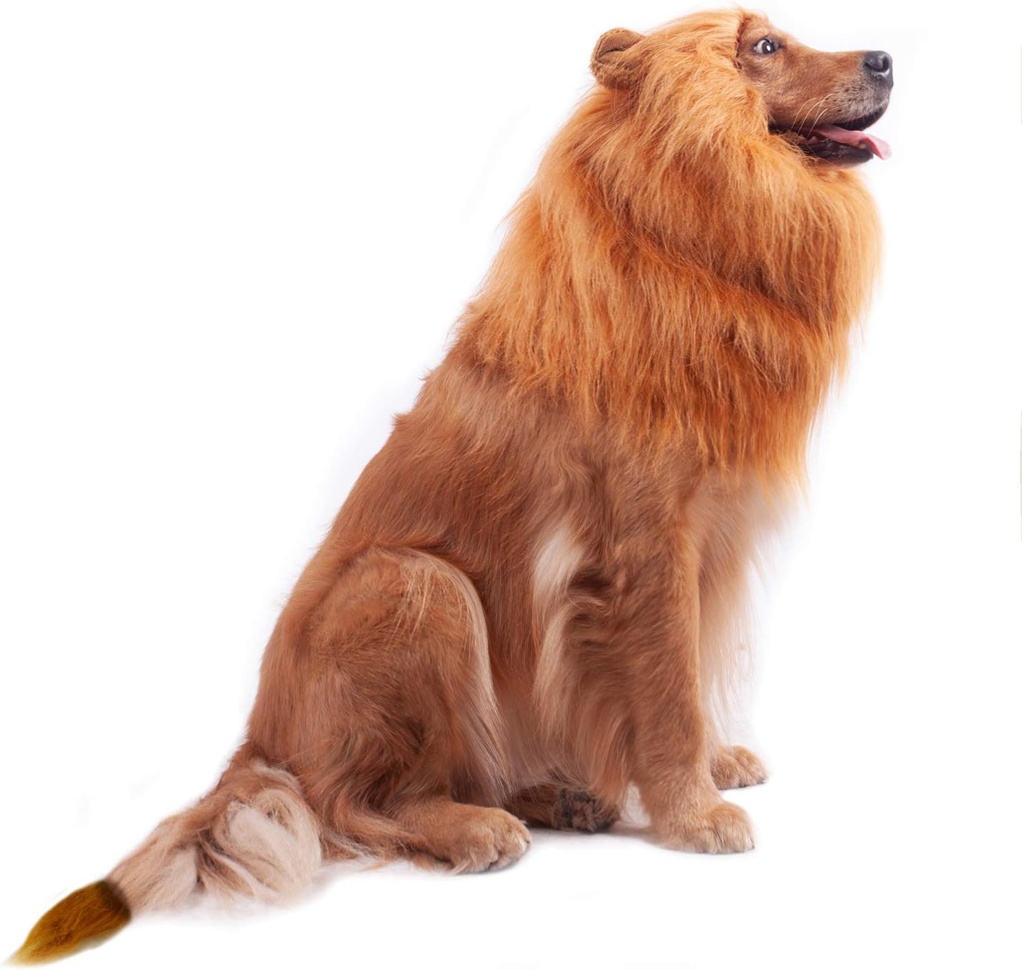 GALOPAR Lion Mane for Dogs Realistic Lion Wig Dog Lion Costume, Halloween Christmas Funny Dog Costumes Photo Shoots Entertainment, Suitable for Medium and Large Sized Dogs - Lion-Red Brown image number 4