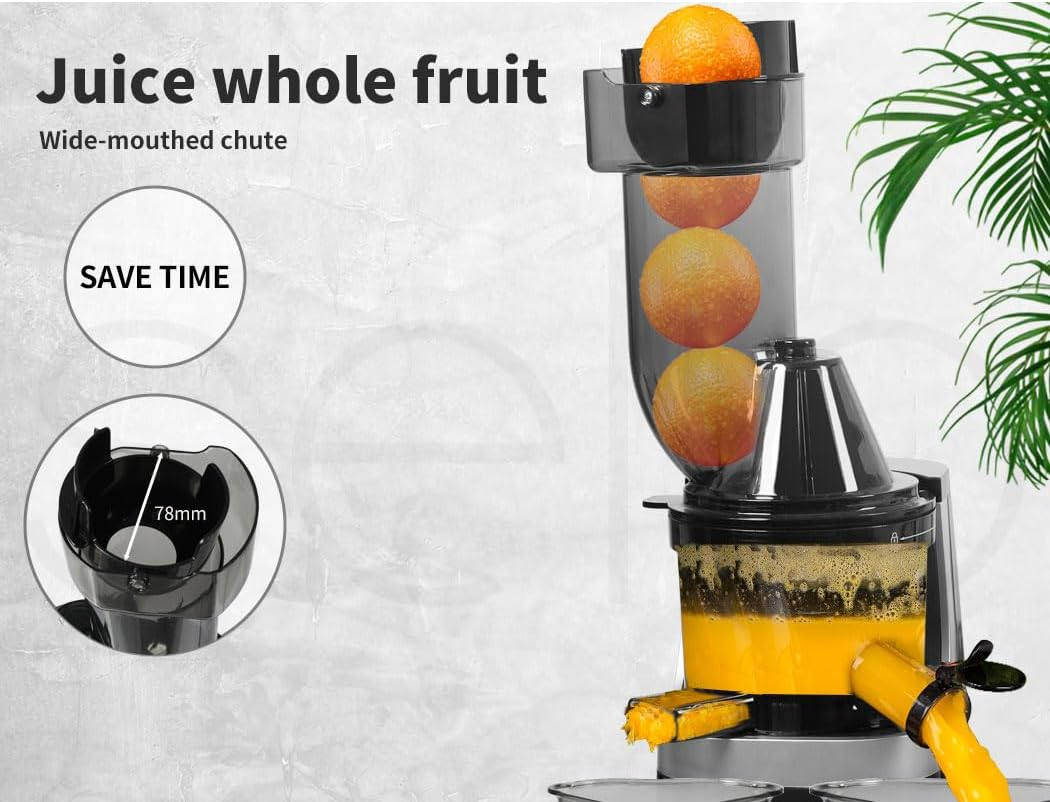 Spector Electric Cold Press Juicer Whole Fruits Vegetable Slow Masticating Machines Orange Celery Wheatgrass Carrot Juice Extactor Low Speed Sorbet Maker Black - Black image number 3