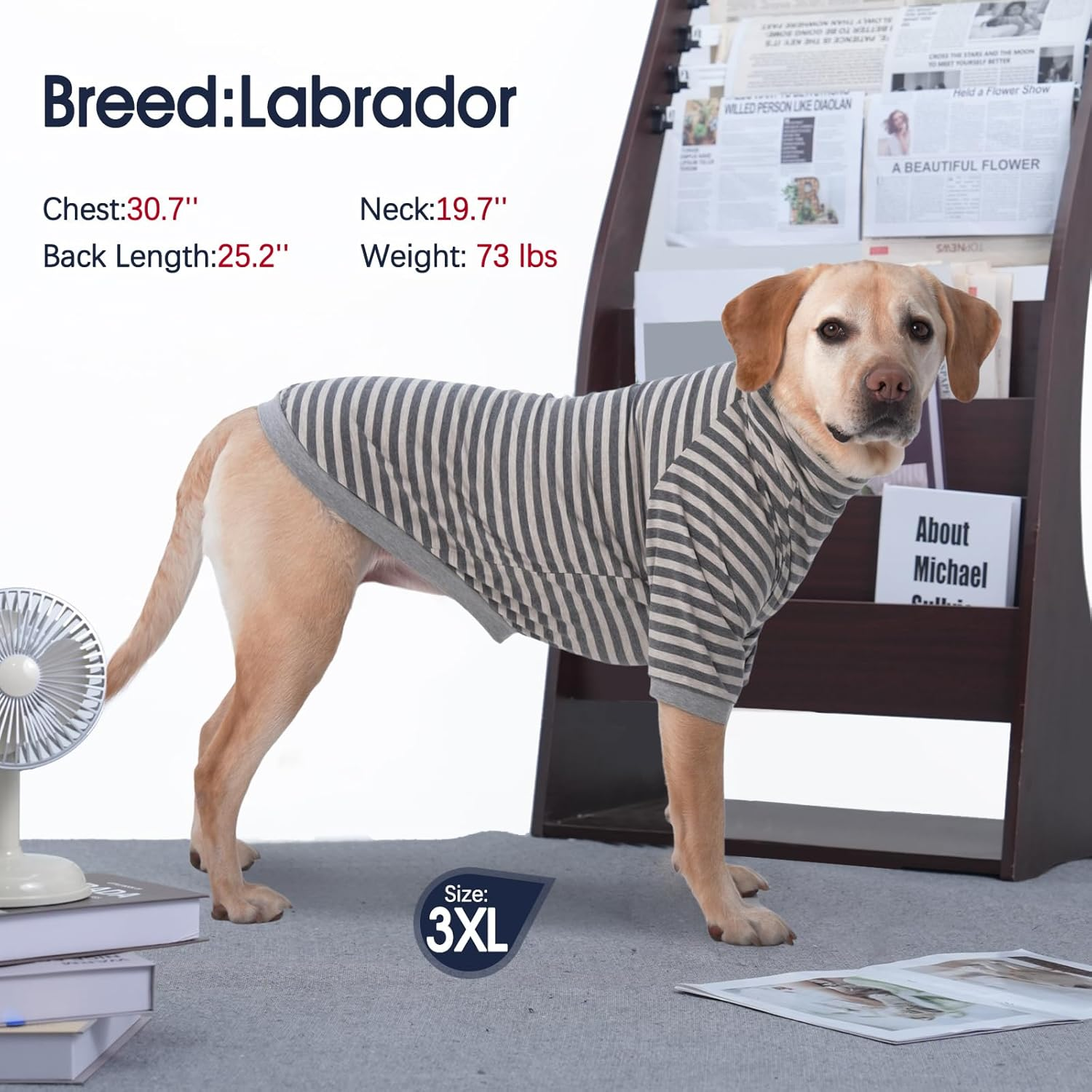 Iecoii 2 Packs|2Xlarge|High Neck Breathable Dog Pullover|Quick Dry Spring Fall Shirt|Soft Matching Pjs Homewear,Pet Top Underwear|Shedding Suit|Full Belly Coverage Sweatshirt,Grey Stripe+Grey image number 5