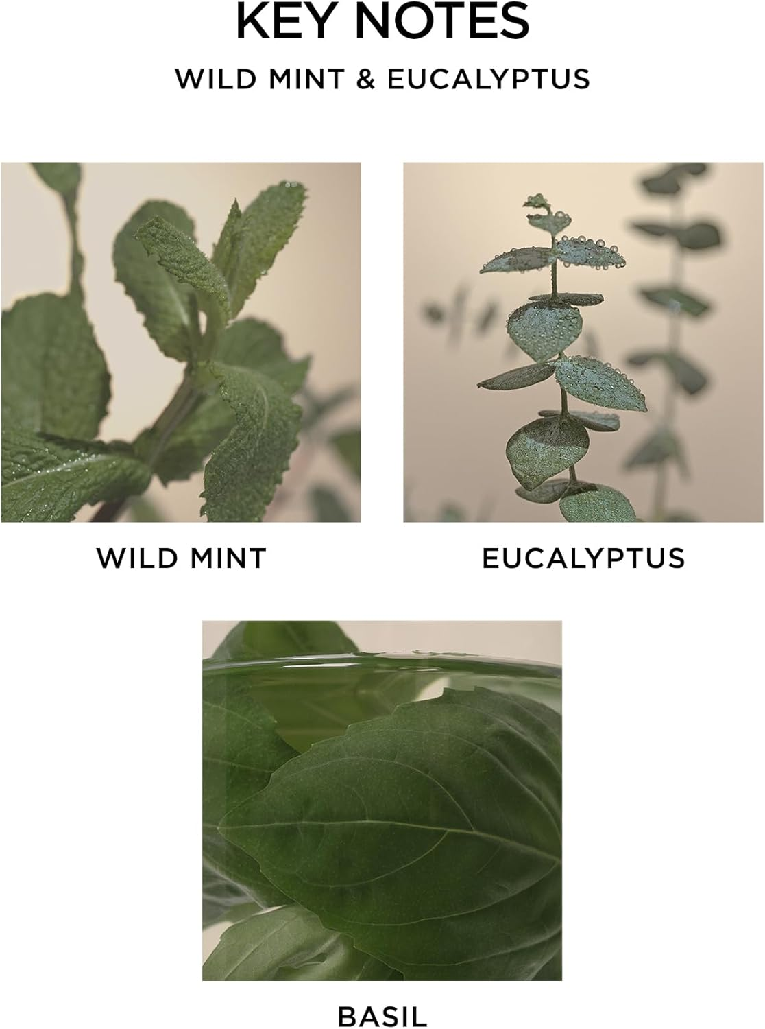 NEST Fragrances Wild Mint & Eucalyptus Liquid Hand Soap, 10 Fl Oz