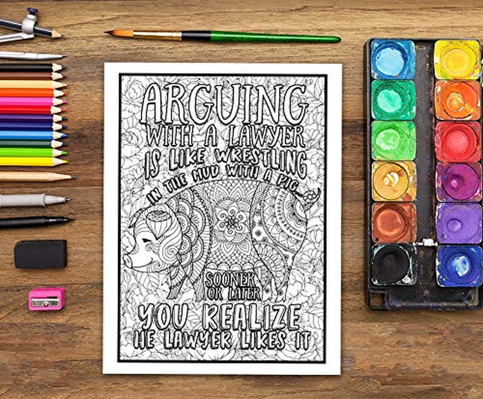 Lawyer Life: an Adult Coloring Book for Lawyers & Law Students image number 5