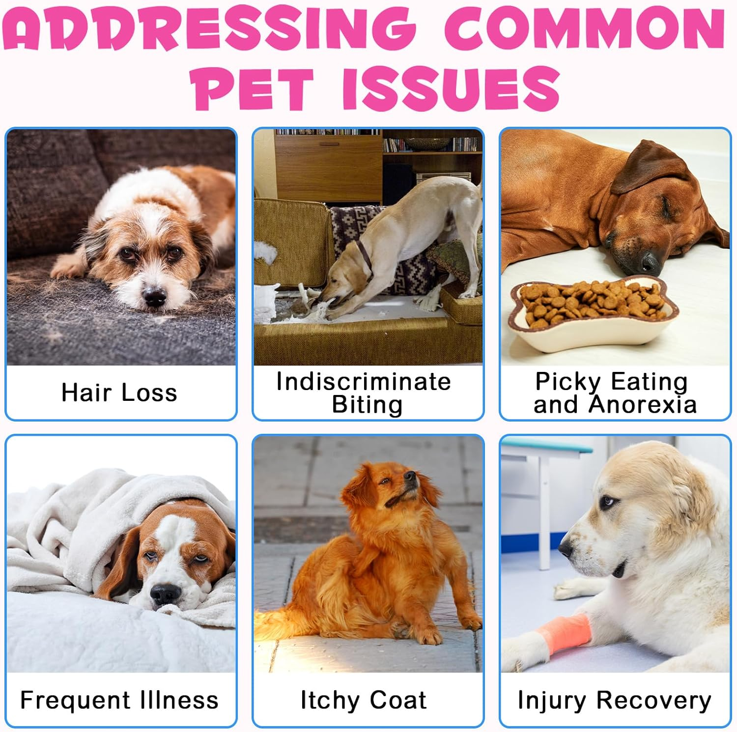 Liquid Collagen for Dogs image number 1