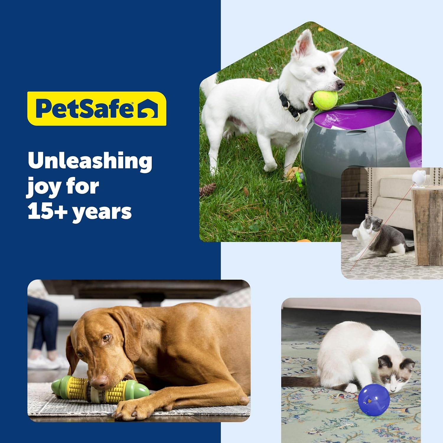Petsafe Busy Buddy Kibble Nibble Meal Dispensing Dog Toy, Small - Pty00-13739,Purple image number 3
