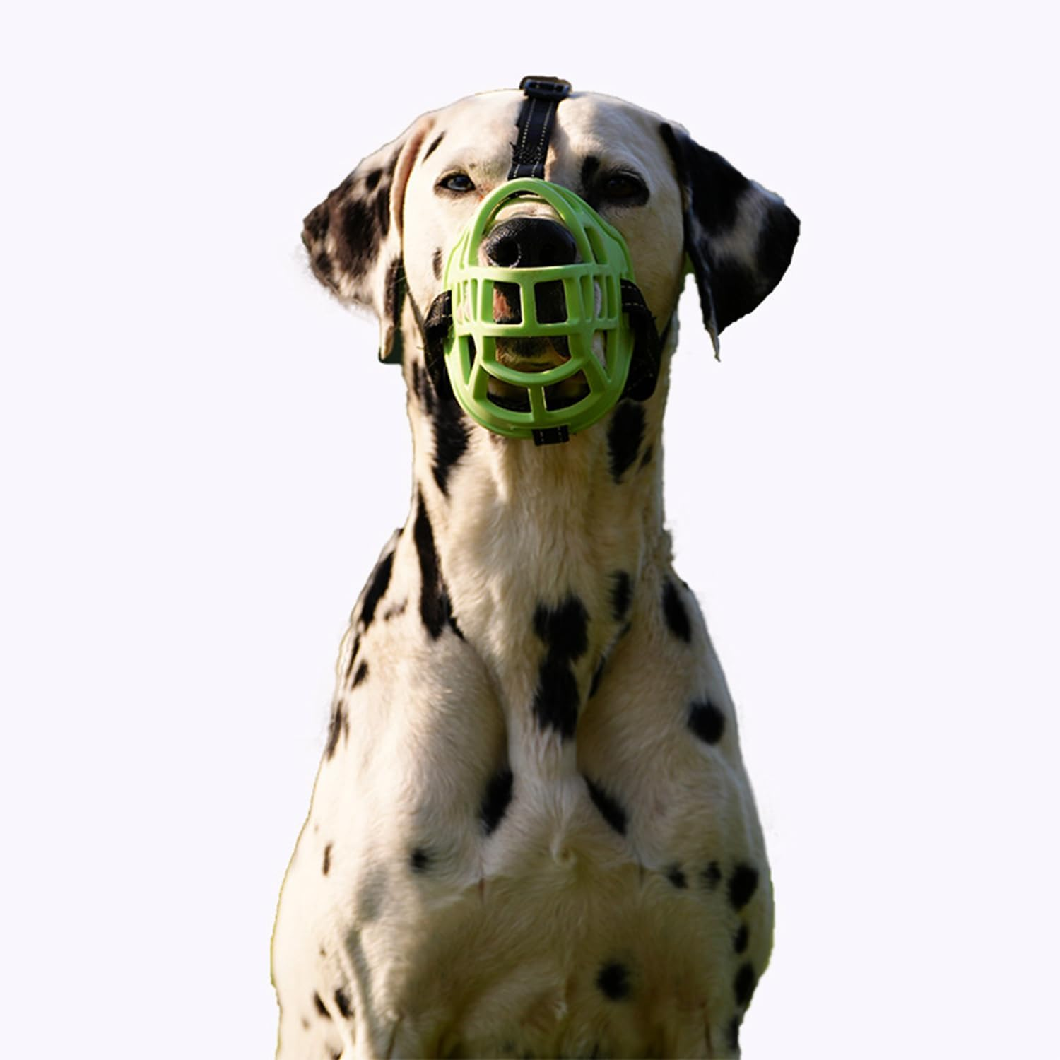 Dog Muzzle, Rubber Pet Muzzler, Adjustable and Breathable Dog Mouth Cover and Accidentally Eating Fluorescent Green, Multiple Sizes Available (XS) image number 1