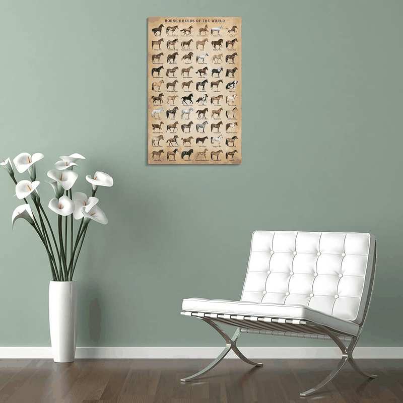 Horse Knowledge Horse Breeds of the World Poster Framed 12X16Inch image number 4