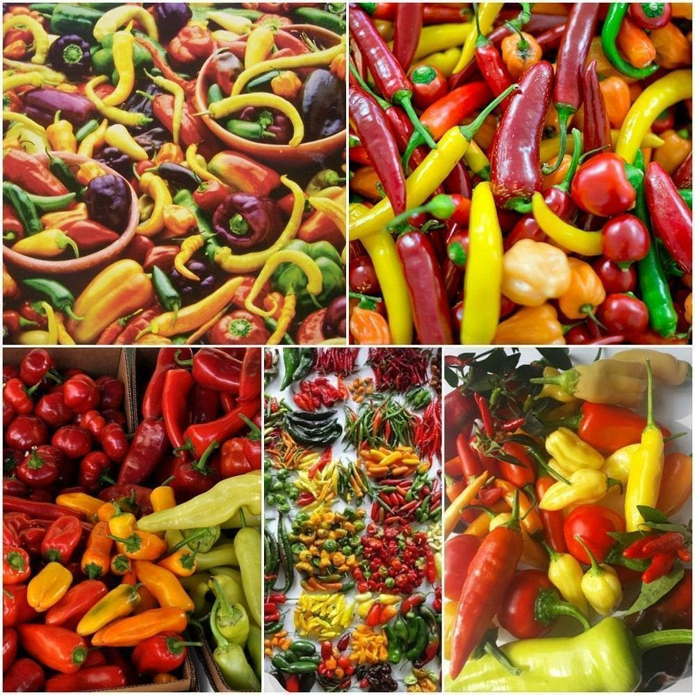 Mix Chilli 10+ Seeds All Types Chili Pepper Mixed Spring Summer Vegetable Garden