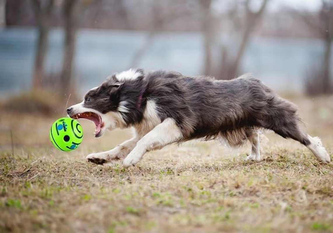 2 Pack Giggle Ball for Dogs Small Funny Wobble Wag Giggle Ball Dog Toy Interactive Dog Toys for Boredom Small Dog Squeaky Balls for Puppy Small Dogs Pug to Keep Them Busy (Style1, One Size) image number 1