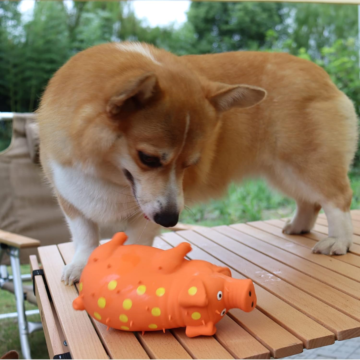 Pig Squeaky Dog Toy, 2 PCS Interactive Rubber Chew Toy - Durable Latex Spot Grunting Toys That Oink for Small Medium Large Dogs (Orange, Blue) image number 2