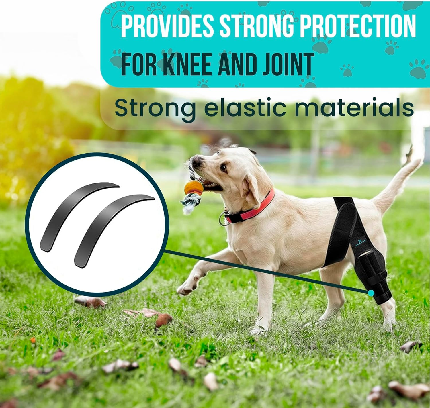 Dog Leg Braces for Back Leg - Dog Knee Brace for Support with Cruciate Ligament Injury, Joint Pain and Muscle Sore,- Dog Knee Brace for Torn ACL Hind Leg Adjustable Rear Leg Braces (Medium) image number 6