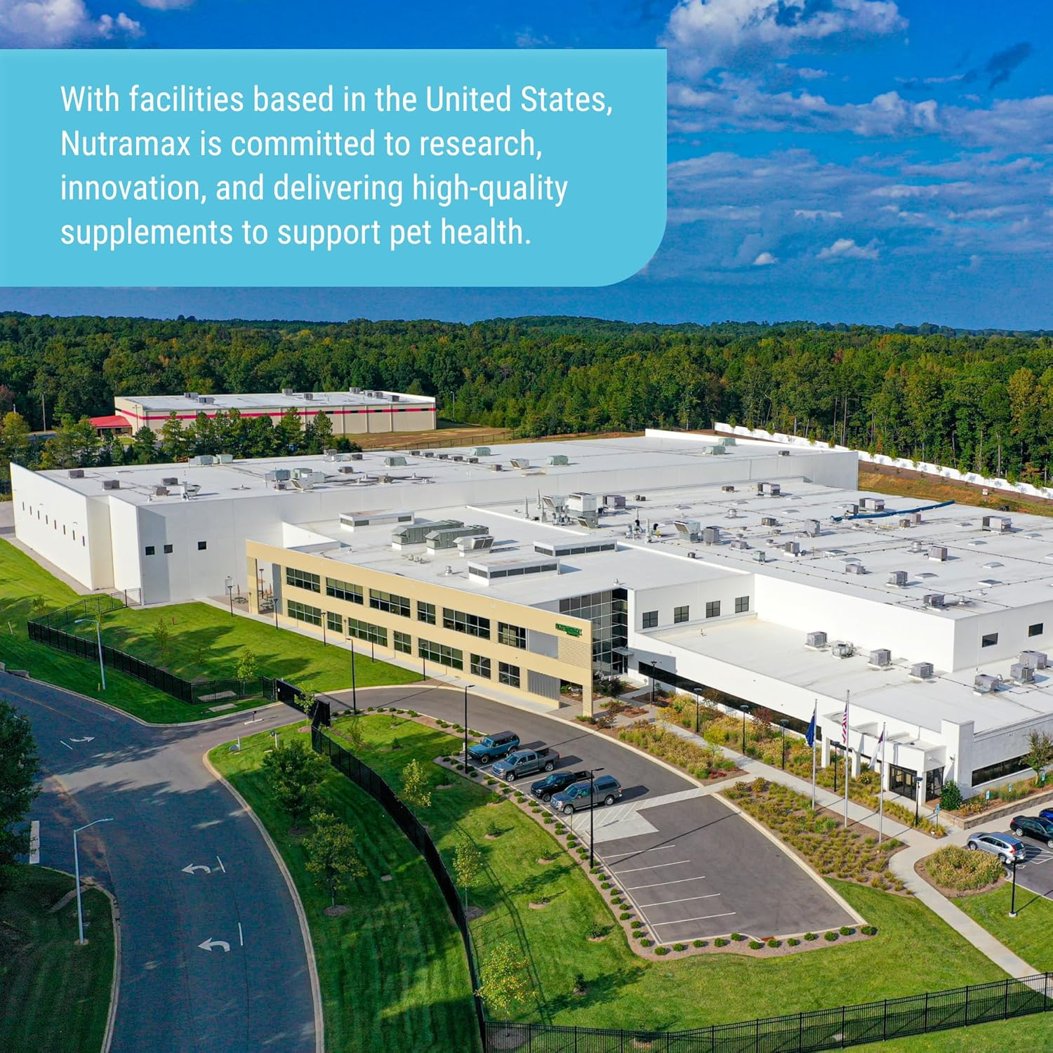 Nutramax Cosequin Standard Strength Joint Health Supplement for Dogs, with Glucosamine and MSM, 75 Chewable Tablets image number 3