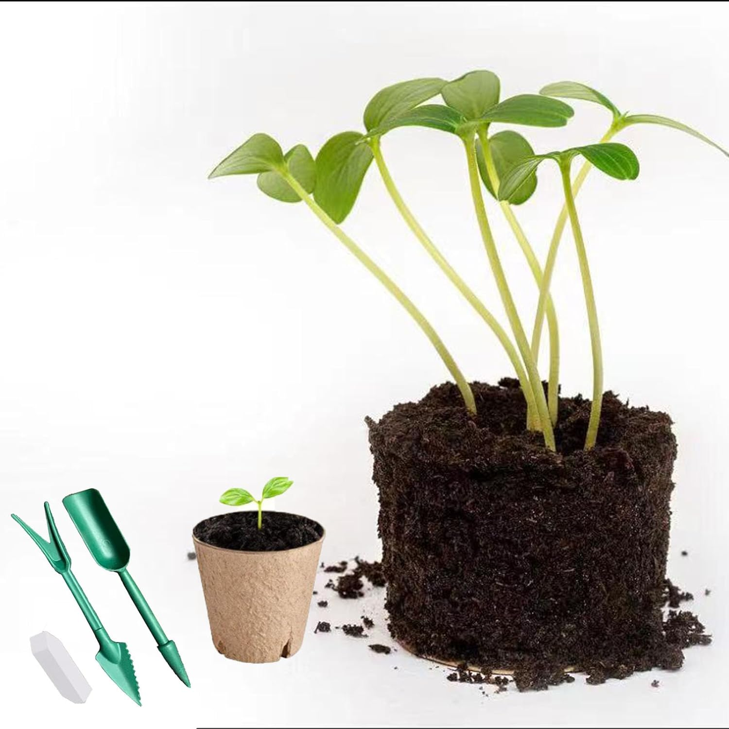 50 Packs of 3.15Inch Peat Pots,Entry-Level Garden and Nursery Seed Pots,Biodegradable Peat Pot Set with 50 Plant Labels and 2 Transplant Tools image number 4