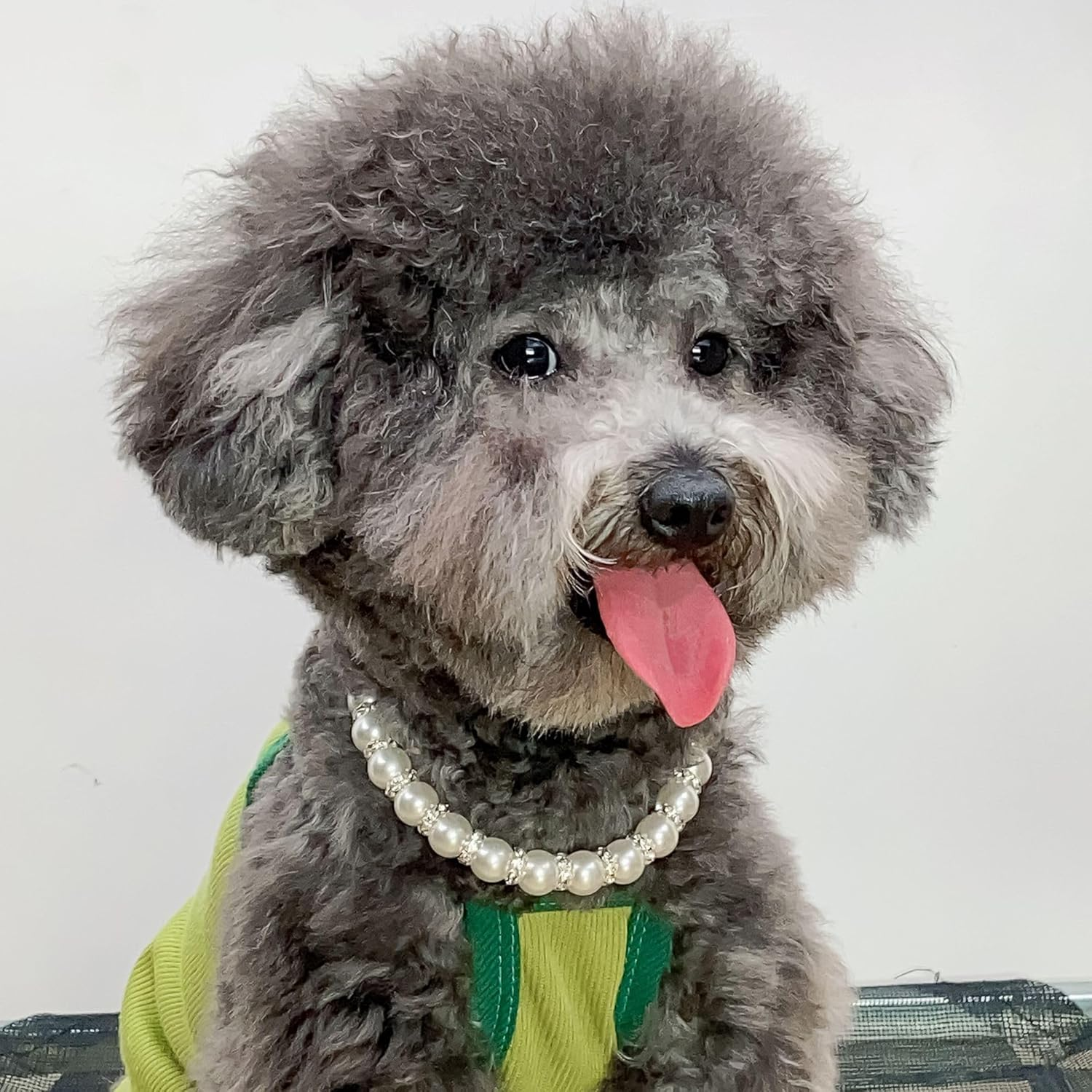 Dog Cat Pearl Collar,Rhinestones Cat Necklace Collar Cute Pearl Crystal Dog Collar Pearl Diamond Dog Necklace Jewelry for Small Dog Cat Wedding Birthday Party (White, M) image number 5