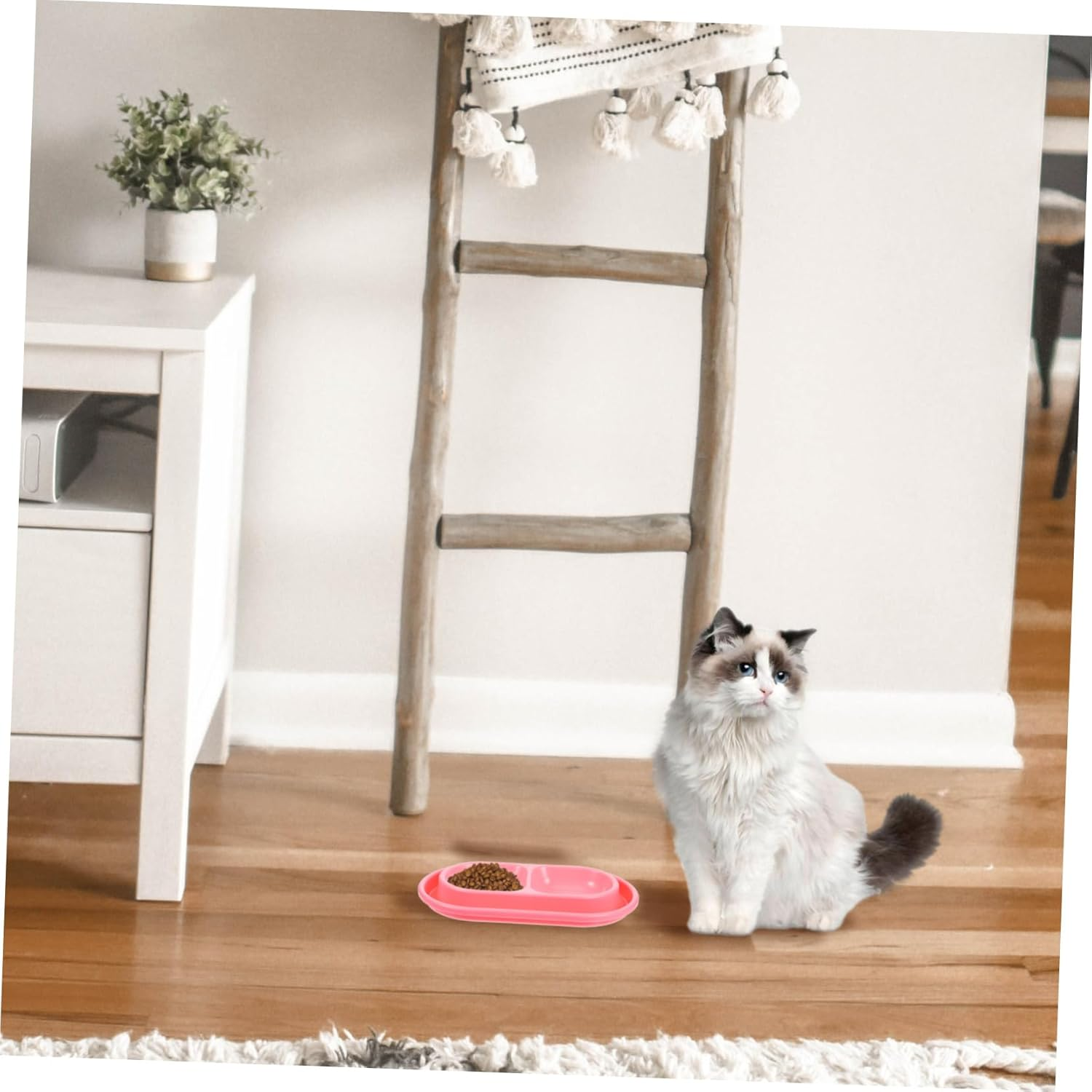 Milisten Ant Proof Cat Bowl Dual Feeding Station with Water Moat for Indoor Outdoor Use Space Saving Pet Food and Water Bowls Suitable for Cats and Small Dogs image number 1